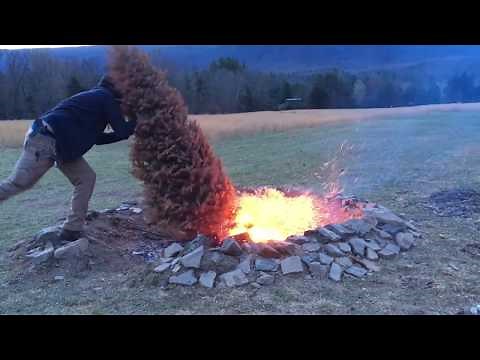 Pine Tree Fire Pit - Old Christmas Tree Goes Up Quick