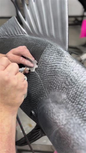 18K views · 395 reactions | When we say we paint our fish replicas scale by scale, this is what we mean!One of many steps in our painting process, and one of the most important. #advancedtaxidermy #fishtaxidermy #fishreplicas | Advanced Taxidermy | Facebook