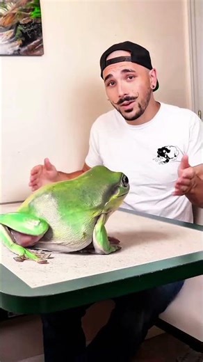 From Cute Frog to Giant YouTuber – Meet Dumpy 😳