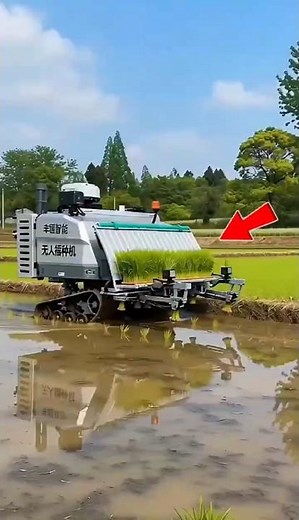 Amazing Chinese Rice Transplanter Robot | Fastest Rice Planting Machine Ever Made!