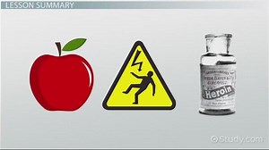 Primary Reinforcer | Definition, Significance & Examples