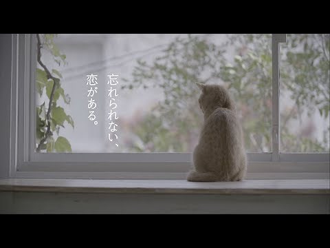 「REQUEST -30th Anniversary Edition- Trailer (猫の恋)」