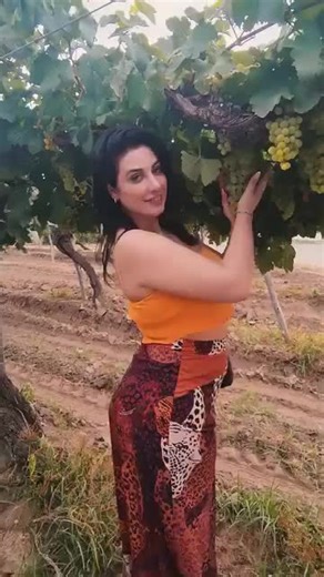 Natalie Conti: ¿Qué opinas sobre su contenido?