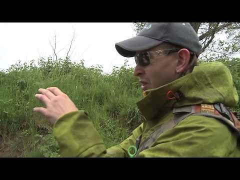 Fly Fishing Small UK Rivers for Big Trout - The River Tone, Somerset