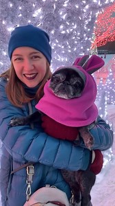 I miss you so much. We would make all those cute photos all December. You loved working as a model. When you saw me opening your closet with all your costumes you would run enthusiastically to the balcony (cause I made an our tiny photo zone there) barking at me. Like- hurry up MOTHER! Don’t make a supermodel wait! Your rider list was clear- no waiting, lots of treats. •⁣⁣⁣⁣⁣⁣⁣⁣⁣⁣⁣⁣⁣⁣⁣⁣⁣⁣⁣⁣⁣⁣⁣⁣⁣⁣⁣⁣⁣⁣⁣⁣⁣⁣⁣⁣⁣⁣⁣⁣⁣⁣ 🎥 @evy_and_eugenia #pug | Pug Lovers