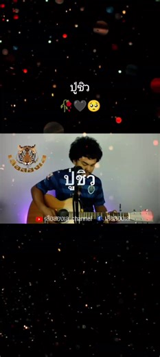 เสือสองเล: ผู้ชายธรรมดา Cover