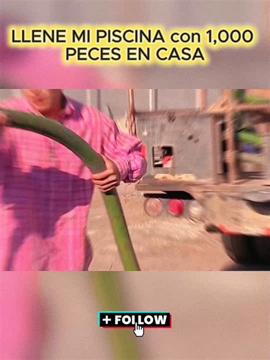 Llena mi piscina con 1,000 peces en casa - Parte 7