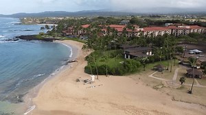 Drone Over Beach Kauai Hawaii Stock Footage Video (100% Royalty-free) 3842707571 | Shutterstock