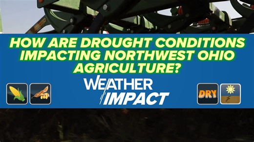 How are drought conditions impacting agriculture in northwest Ohio? | WTOL 11 Weather Impact