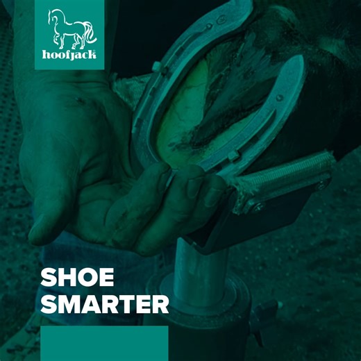By the farrier, for the farrier... Hoofjack is designed out of the desire to create a safer and easier way to support the horse’s hoof during shoeing and hoof treatments. Inventor, Developer and Farrier Dawn Keeler designed the Hoofjack with both the farrier and horse in mind. The Hoofjack benefits anyone involved in hoof care, whether it is the horse owner, trimmer, farrier or veterinarian. And now it has been the standard for hoof stands in the farrier industry for years. The design has proven