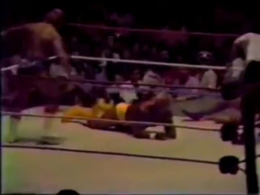 "Mr. Wonderful" Paul Orndorff (Legacy) on Instagram: "Paul Orndorff Adrian Adonis vs. Hulk Hogan Roddy Piper - 9/7/1986 - @WWE #mrwonderfulpaulorndorff #mr1derful #paulorndorff #wwfsuperstars #80swrestlers #80swrestling #wwfoldschool #oldschoolwrestling #wwfgoldenera #wwehof #worldchampionshipwrestling #nwa #80s #80swwf #worldwrestlingfederation #wcw #wwe #wwf #prowrestling #hulkhogan #hulkamania"