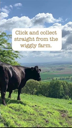 🪱 Looking for live worms in Herefordshire?