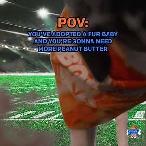 10K views · 144 reactions | #DidYouKnow a dog’s tongue has more taste buds than a cat, but much fewer than a human; it’s estimated that dogs have just 1/6th the number of human taste buds. Don't miss #PuppyBowl today at 2p ET/11a PT on @AnimalPlanet! | Science Channel | Facebook