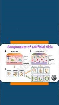 Artificial Skin That Feels Touch. The Science Behind Prosthetics | BMEssentia.