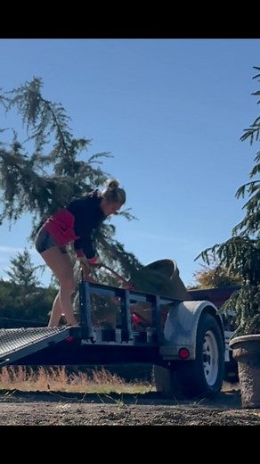 I’m Juan Deer and Mike is John Deer. I do all the manual labor and he does all the machine work. But I enjoy it. 💕🌲 #backyard | Melissa Stone Morris