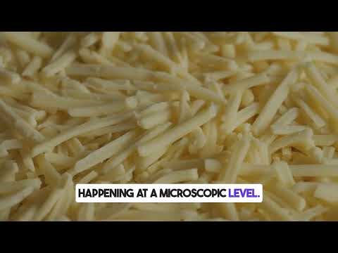 The Science of Cheese