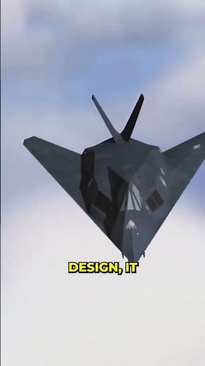 I Flew the NEW YF 23 Fighter Jet in Japan and Here's What Happened