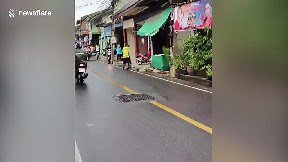 Monitor lizard with blood dripping from its teeth attacks pedestrian (video) - ItemFix