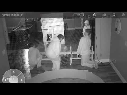 Christmas Traps 2025