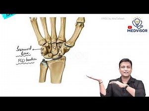 Carpal Tunnel | Anatomy, Contents & Clinical Correlations | Dr Azam | Medvisor