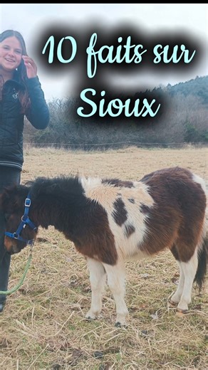 10 facts about Sioux the miniature horse