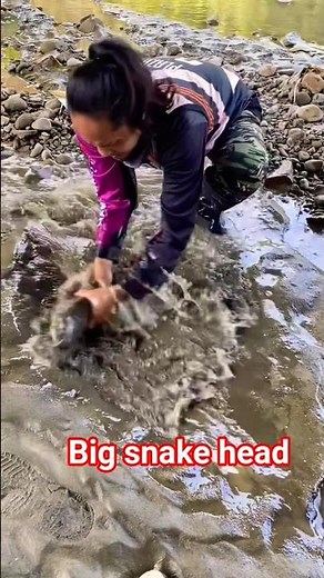 5. 🌊 Unbelievable Snakehead Catfish Catch in America – Must Watch!