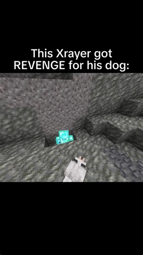 Xrayer gets REVENGE 💔 #minecraft #minecraftmemes | minecraft