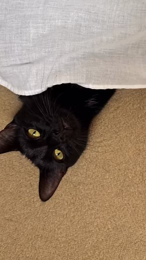 Rimi Rimute on Reels