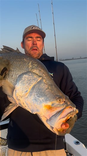 Sport fishing Australia on Instagram: "If you looking to book a charter with me in 2026, these are the only dates windows I have left for either giant barramundi in the fresh or the saltwater or giant Murray cod. Available dates 2026 February 10-18 pending cancellation March 17-21 also pending cancellation June 22-28 September 1-5 September 28- October 3 December 9-20 #sportfishing #australia #barramundi #fishing #shimanofishing #bigfish #barramundifishing #lowrancefishing #mikadofishing"