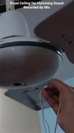 royal ceiling fan hummimg sound recorded by mic #shortfeed #electrical