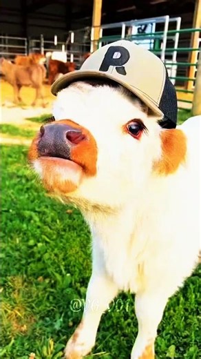 Power of Transformation''☠️☠️ #trollface #trolling #editing #memes #tranding #transformation