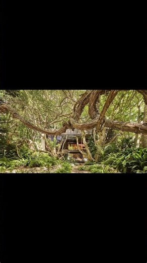 Which actor in hollywood can afford this Malibu property? #luxury #realestate