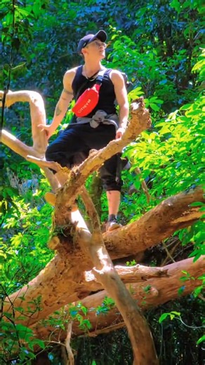 🌿 Lễ này đi Đà Lạt, sao không thử chữa lành bằng một chuyến đi trekking tại Langbiang? Clip: haocadidaudo #langbiang #trekkinglangbiang #trekking #dalattourist | Khu Du Lịch LangBiang