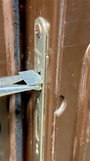 Don't Call a Locksmith! Fix a Flipped Latch in SECONDS 🚪⚡#diy