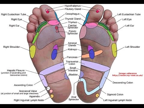 Reflexology. What are its foundations?