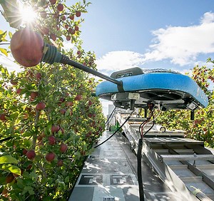 Automation advancements in apple harvesting — Video - Good Fruit Grower
