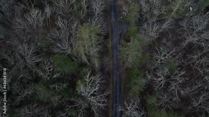 flying above a rural dirt gravel road with power lines and bare trees (winter evening, night, dusk footage) forest, nature, aerial drone shot looking down 4k (moody, dark, foreboding)