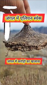 #recipeoftheday #cookingtime | new facts official