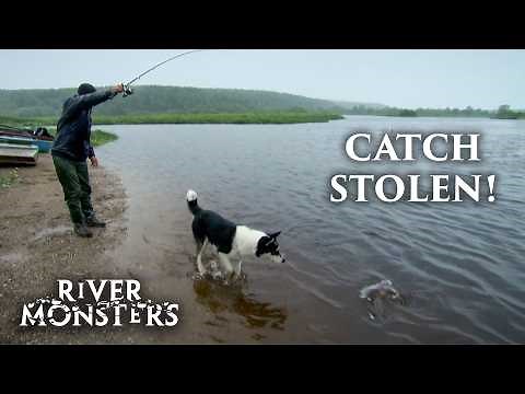 Jeremy Wade’s Catch Gets STOLEN! | River Monsters