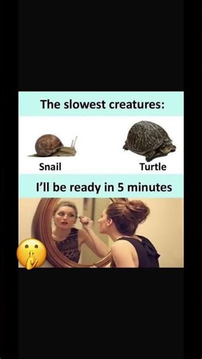 Meme-13 #shots #trending top viral short