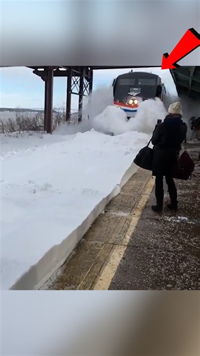 9K views · 52 reactions | These Train Near Misses Are Terrifying  | Hold Your Plums | Facebook