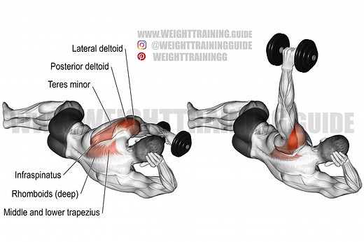 Side-lying reverse dumbbell fly exercise instructions and videos