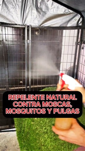 3.4M views · 46K reactions | Repelente natural contra moscas, mosquitos y pulgas  #perros #mascotas #perrosfelices #educacioncanina #perrofeliz #perrosgraciosos #educacioncanina #entrenamientocanino #obedienciacanina #pastorbelgamalinois #canecorso #pastoraleman #educantraining | EduCan Training | Facebook