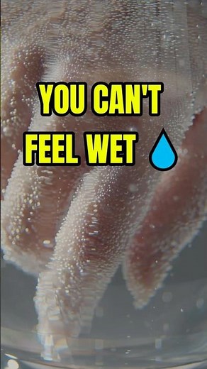 You Can't Feel Wetness (It’s An Illusion) 💧