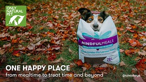 Only Natural Pet EasyDefense Flea & Tick Collar for Dogs