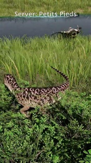Is this the friendliest croc alive? | The Isle Evrima #theisle #theisleevrima #dinosaur