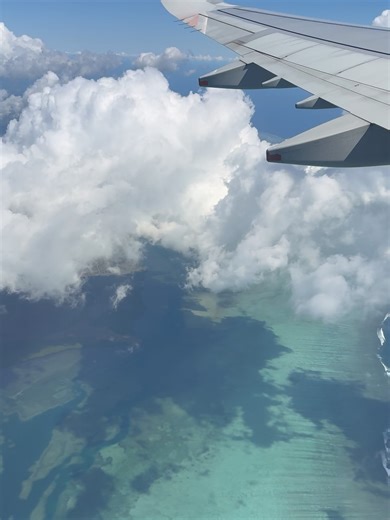 Tara Collins | 🌸 Fiji episode five 🌸 (the end… Fiji style) | Instagram