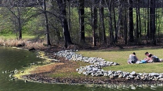 NC's pollen season is starting to wind down. Here's what to know
