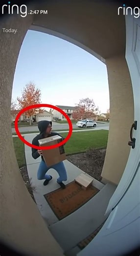 Package Thief CAUGHT on Ring Doorbell Camera