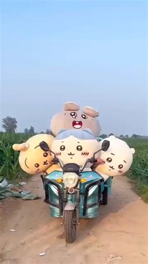 只能選一種！ 🚗 你最想送朋友哪個 ？| Which Chiikawa Merch Would You Gift?